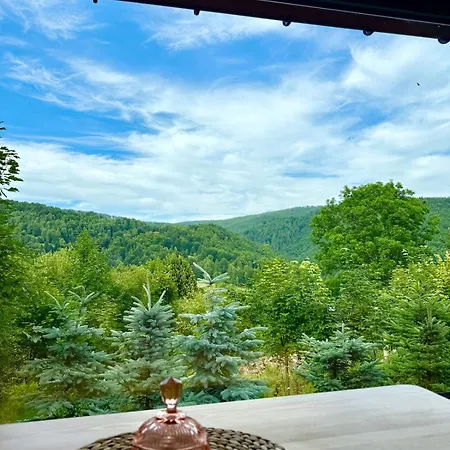 Ferienhaus Pod Srebrzystym Swierkiem - Jacuzzi Koszarawa