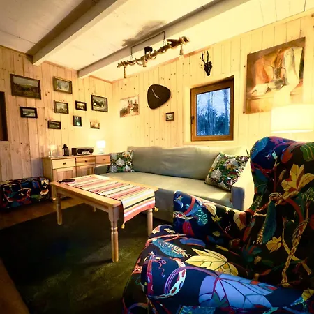 Pod Srebrzystym Swierkiem - Jacuzzi