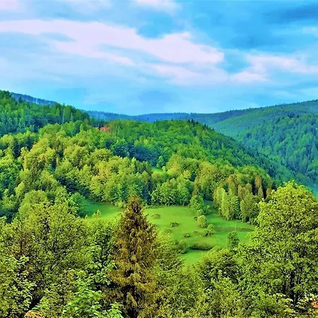 Pod Srebrzystym Swierkiem - Jacuzzi
