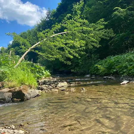 Pod Srebrzystym Swierkiem - Jacuzzi Ferienhaus *