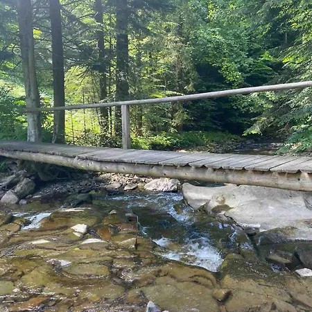 Pod Srebrzystym Swierkiem - Jacuzzi Koszarawa