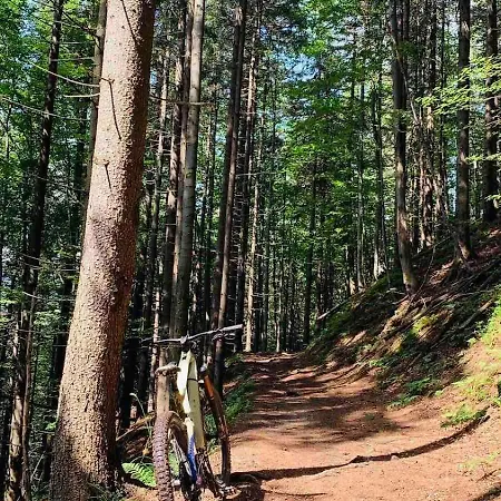 Pod Srebrzystym Swierkiem - Jacuzzi