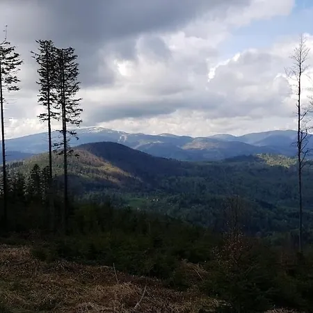 Pod Srebrzystym Swierkiem - Jacuzzi Ferienhaus *