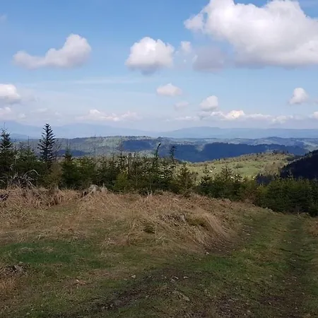 Pod Srebrzystym Swierkiem - Jacuzzi Ferienhaus