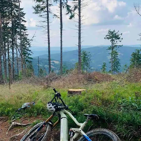Ferienhaus Pod Srebrzystym Swierkiem - Jacuzzi Koszarawa