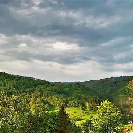 Pod Srebrzystym Swierkiem - Jacuzzi * Koszarawa
