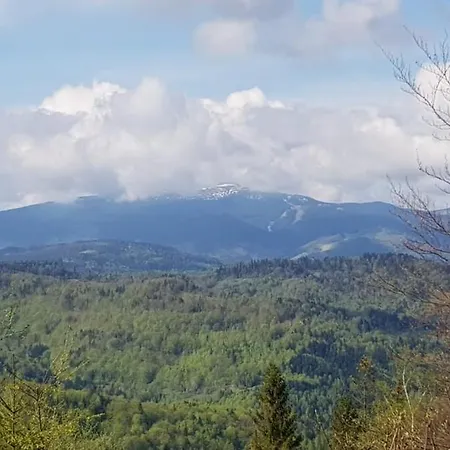 Ferienhaus Pod Srebrzystym Swierkiem - Jacuzzi Koszarawa