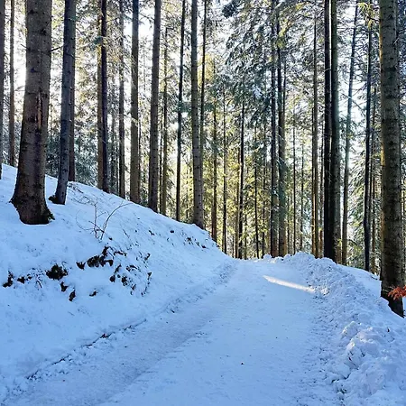 Ferienhaus Pod Srebrzystym Swierkiem - Jacuzzi