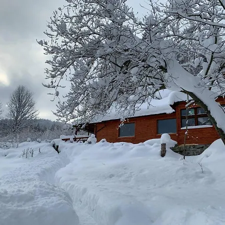 Pod Srebrzystym Swierkiem - Jacuzzi Holiday home *
