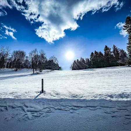 Pod Srebrzystym Swierkiem - Jacuzzi Ferienhaus