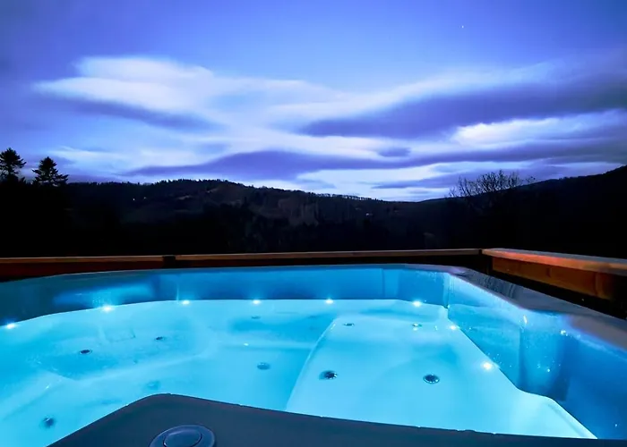 Pod Srebrzystym Swierkiem - Jacuzzi Дом отдыха *