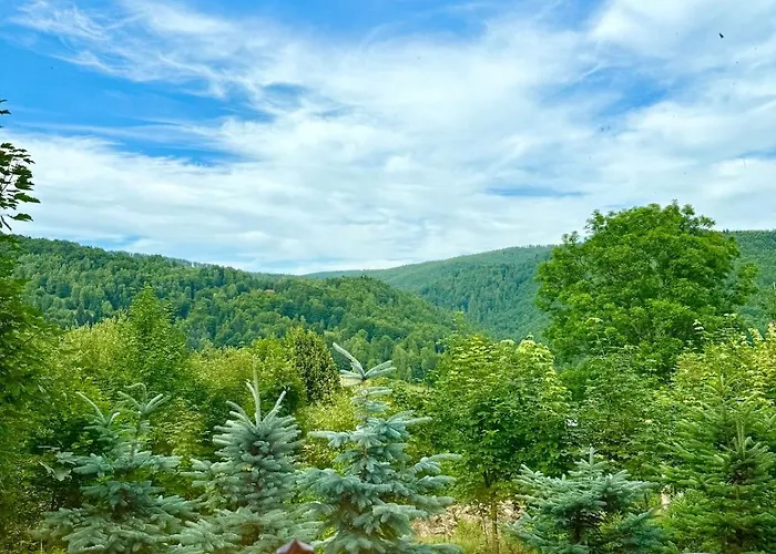 Holiday home Pod Srebrzystym Swierkiem - Jacuzzi Koszarawa