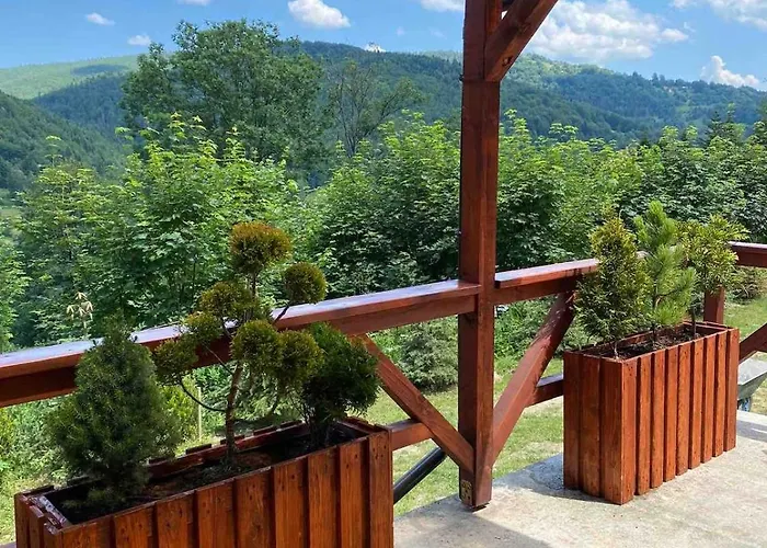 Pod Srebrzystym Swierkiem - Jacuzzi Holiday home Koszarawa