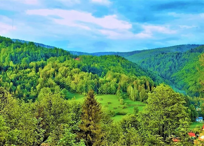 Pod Srebrzystym Swierkiem - Jacuzzi