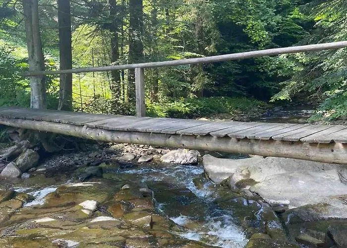 Pod Srebrzystym Swierkiem - Jacuzzi Koszarawa