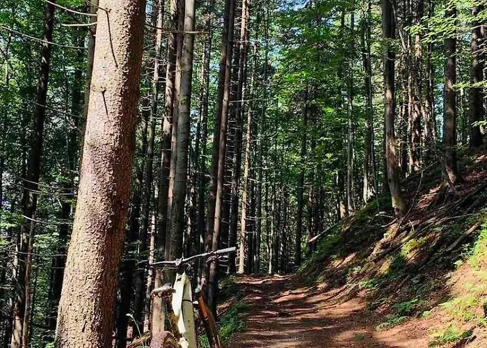 Pod Srebrzystym Swierkiem - Jacuzzi