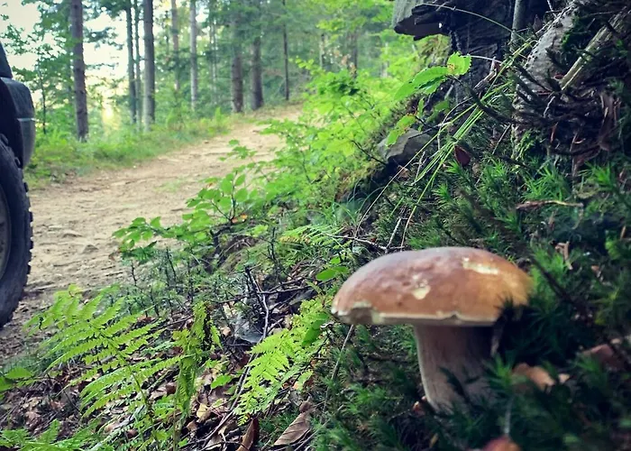 Pod Srebrzystym Swierkiem - Jacuzzi *