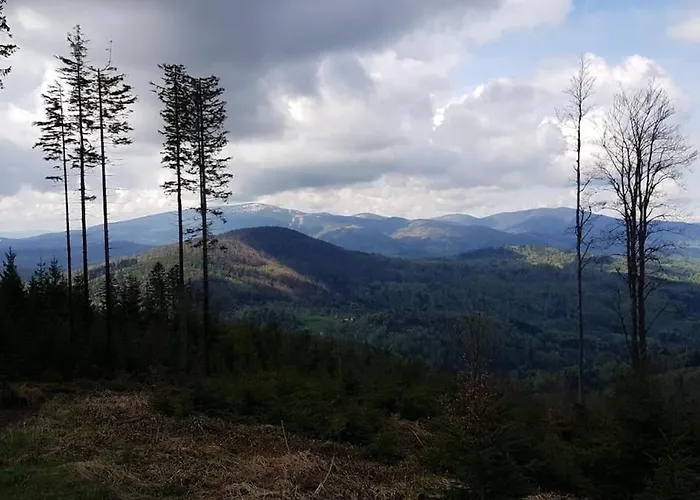 Pod Srebrzystym Swierkiem - Jacuzzi Дом отдыха *