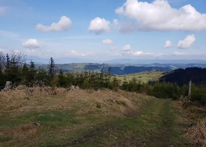 Pod Srebrzystym Swierkiem - Jacuzzi Holiday home