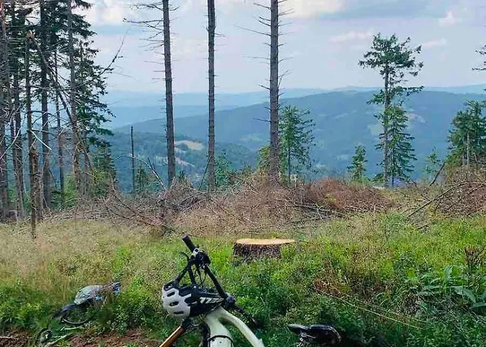 Дом отдыха Pod Srebrzystym Swierkiem - Jacuzzi Koszarawa