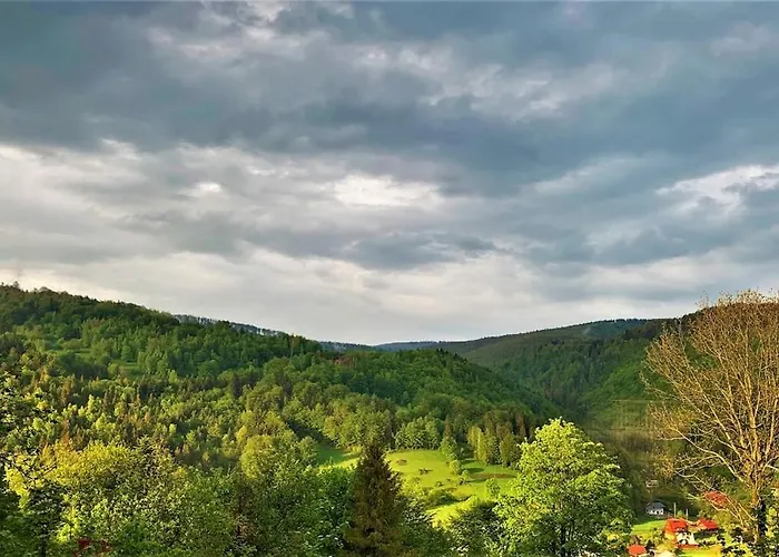 Pod Srebrzystym Swierkiem - Jacuzzi * Koszarawa