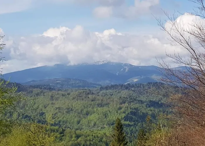 Дом отдыха Pod Srebrzystym Swierkiem - Jacuzzi Koszarawa