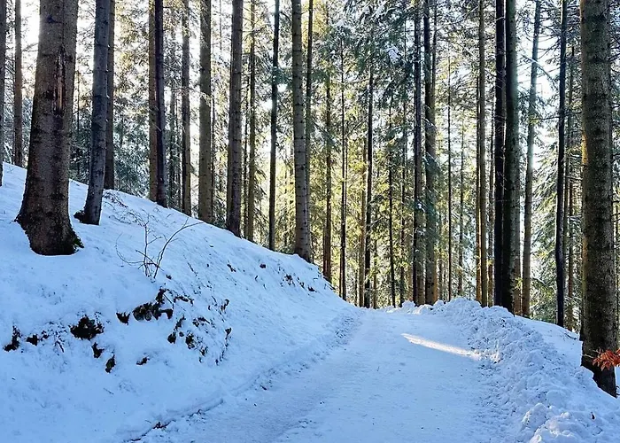 Дом отдыха Pod Srebrzystym Swierkiem - Jacuzzi