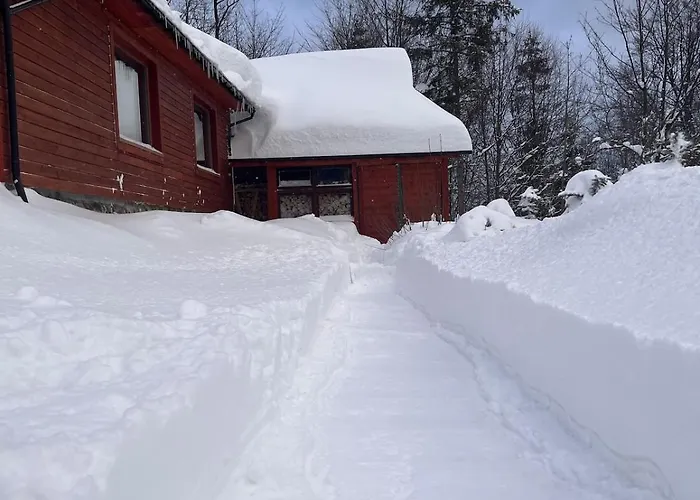 Pod Srebrzystym Swierkiem - Jacuzzi *