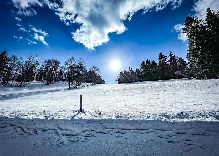 Pod Srebrzystym Swierkiem - Jacuzzi Holiday home