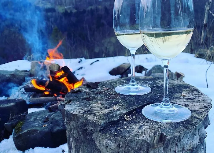 Pod Srebrzystym Swierkiem - Jacuzzi Holiday home