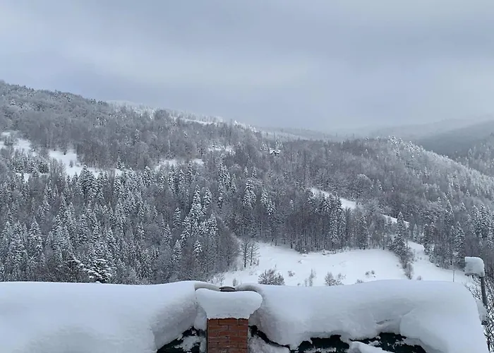 Дом отдыха Pod Srebrzystym Swierkiem - Jacuzzi *