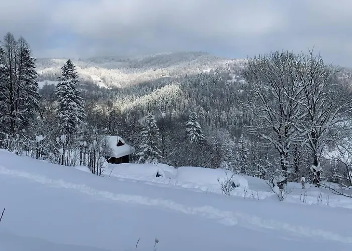 Holiday home Pod Srebrzystym Swierkiem - Jacuzzi Koszarawa